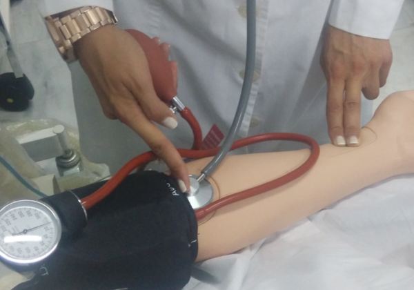 PHYSIOLOGY SIMULATION